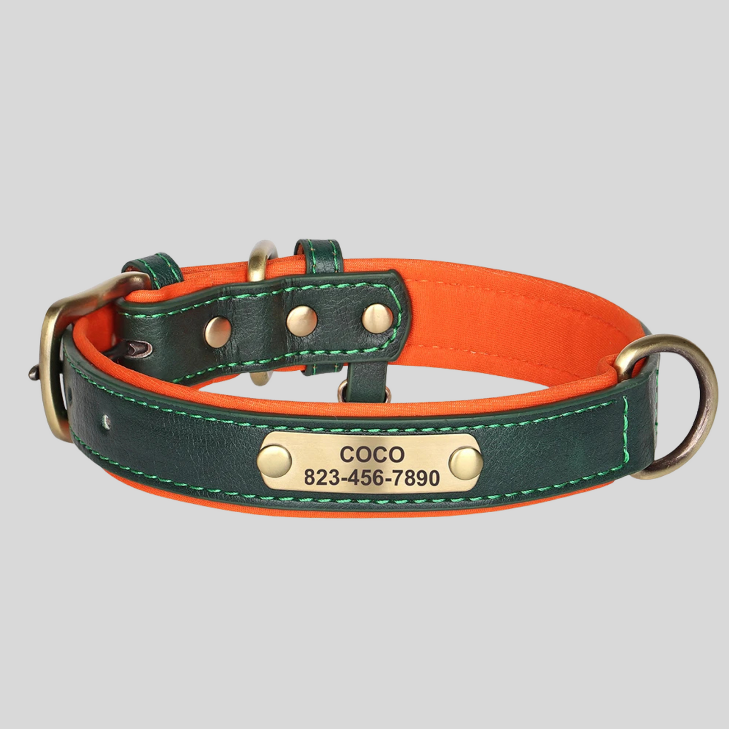 CLASSY Autumn Walk Halsband