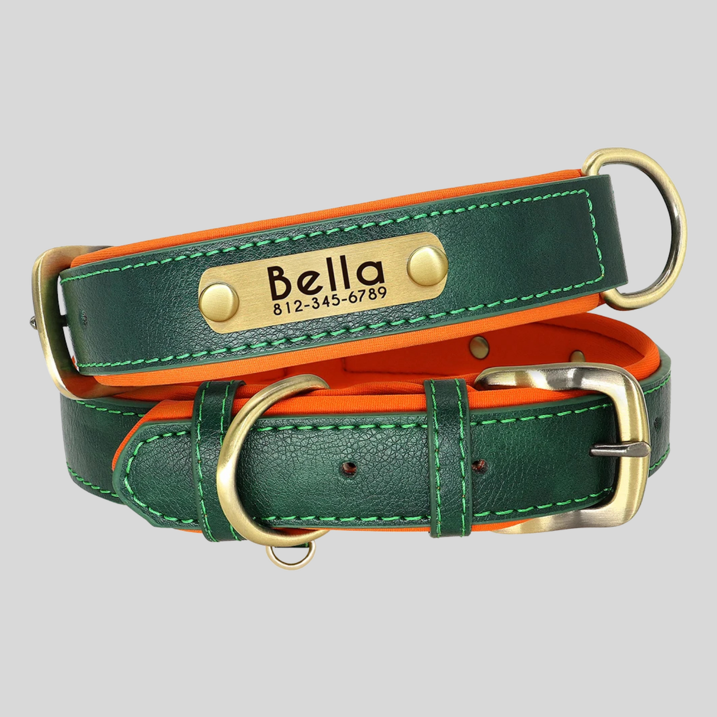 CLASSY Autumn Walk Halsband