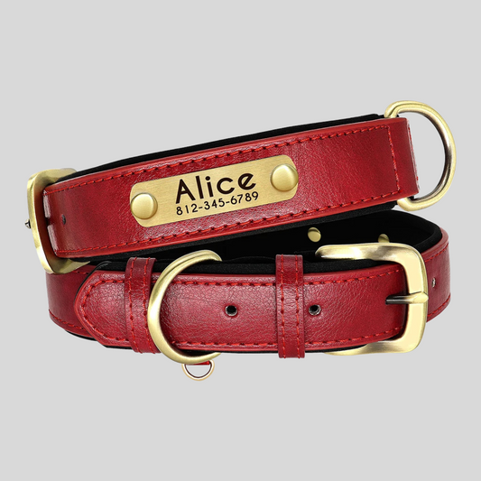 CLASSY Ruby Noir Halsband