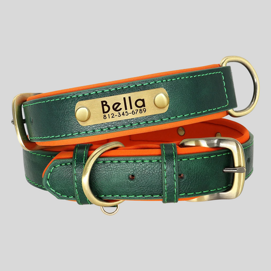 CLASSY Autumn Walk Halsband