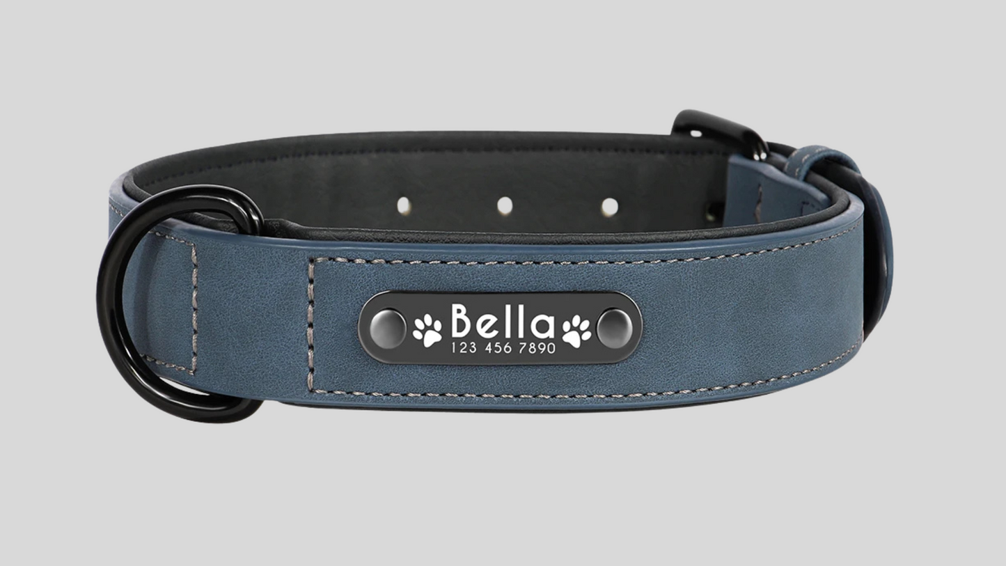 TIMELESS MIDNIGHT Halsband + Leine