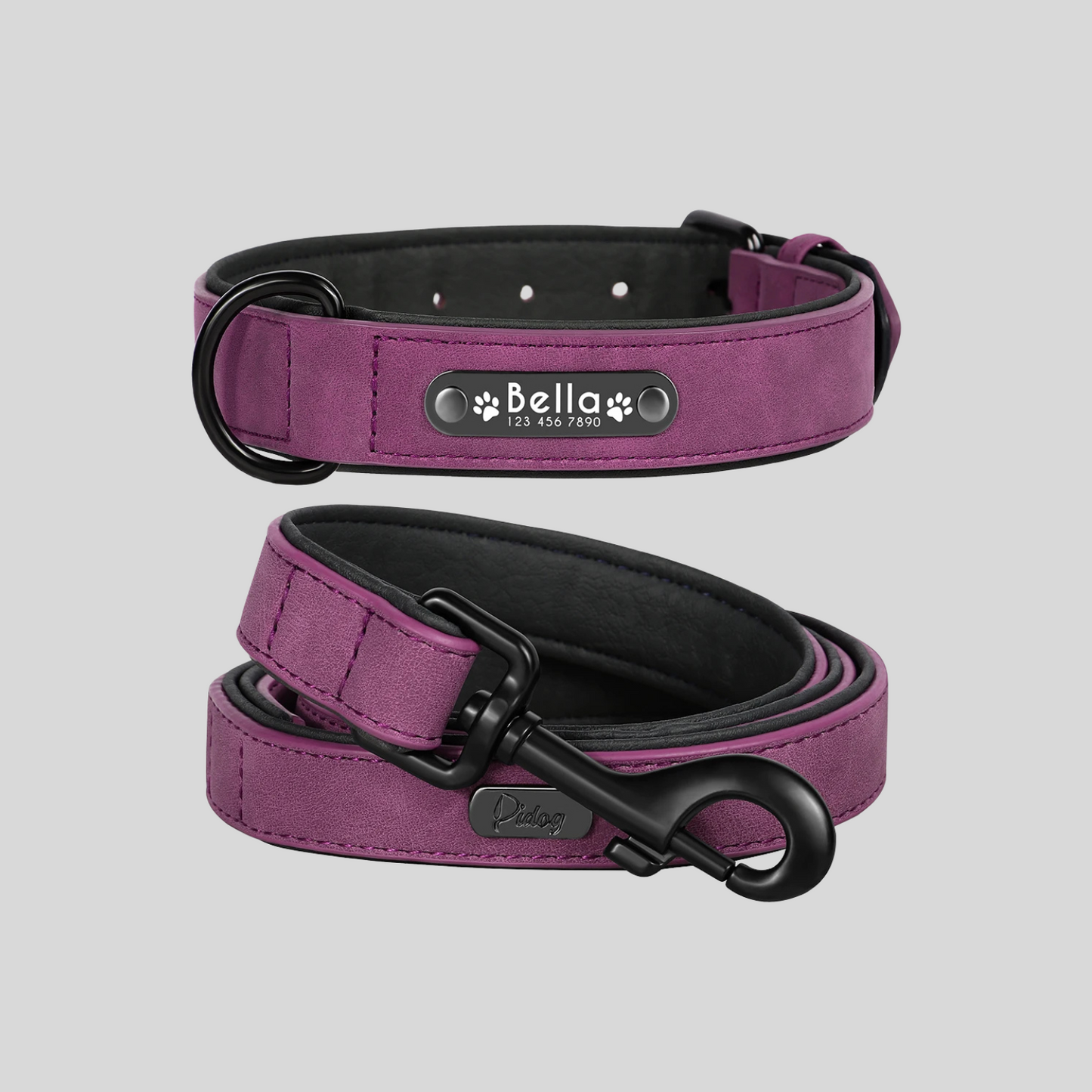 TIMELESS AMETHSYT Halsband + Leine