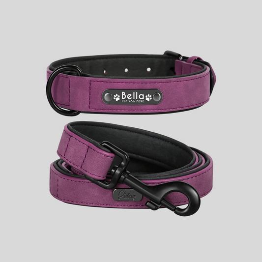 TIMELESS AMETHSYT Halsband + Leine