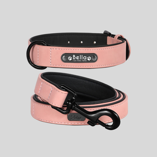 TIMELESS BLUSH Halsband + Leine