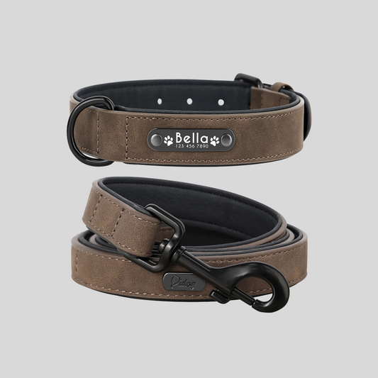TIMELESS MOKKA Halsband + Leine