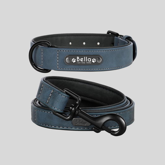 TIMELESS MIDNIGHT Halsband + Leine